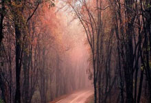 陣容未全解讀伊朗國青主帥的中國戰備.