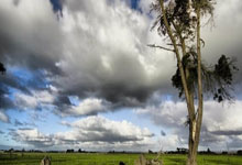 阿斯:若加盟皇马,阿诺德可选择的号码只有12、24和25.