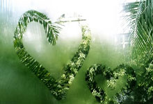 奥斯卡社媒晒照摆pose，目前尚不知他以何种身份为玉昆出战.